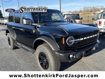 2025 Ford Bronco 4-Door Badlands's photo