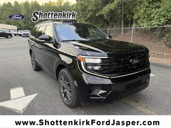 2025 Ford Expedition Platinum's photo
