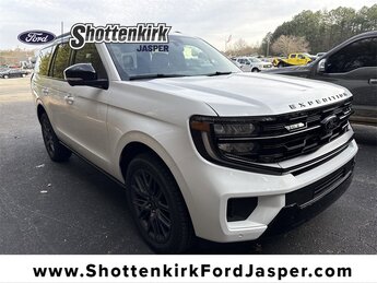 2025 Ford Expedition Platinum's photo