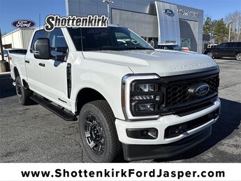 2026 Ford F-250 Super Duty XL's photo