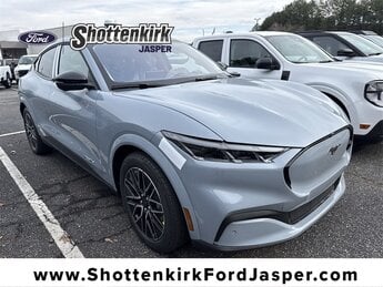 2025 Ford Mustang Mach-E Premium RWD's photo