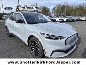 2025 Ford Mustang Mach-E Premium RWD's photo