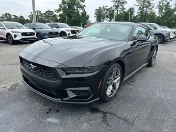 2025 Shadow Black Ford Mustang EcoBoost 2.3L I4 GTDi DOHC Turbocharged VCT Engine Car RWD