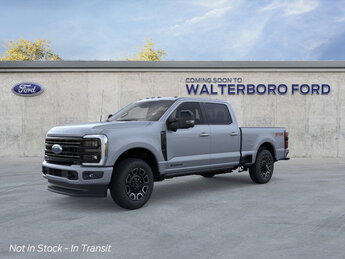 2025 Glacier Gray Metallic Tri-Coat Ford Super Duty F-250 SRW Platinum 4X4 Automatic 4 Door