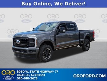 2025 Gray Metallic Ford Super Duty F-250 SRW Platinum 4X4 Truck 4 Door