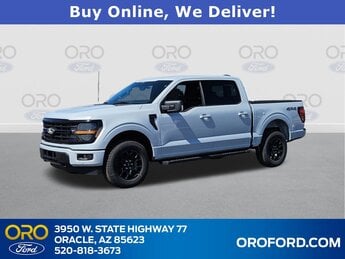 2025 Iconic Silver Metallic Ford F-150 XLT 4X4 3.5L V6 EcoBoost Engine Truck 4 Door