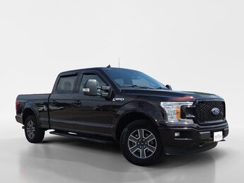 2019 Maroon Ford F-150 XLT 4 Door Automatic Truck