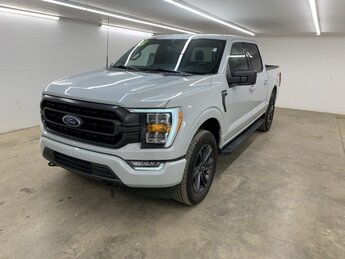2023 Avalanche Ford F-150 XLT 4 Door 4X4 Truck Automatic