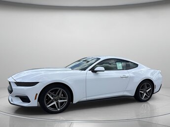 2025 Ford Mustang EcoBoost RWD Intercooled Turbo Premium Unleaded I-4 2.3 L/140 Engine 2 Door Automatic