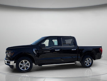 2025 Agate Black Metallic Ford F-150 XLT Automatic RWD 4 Door Truck