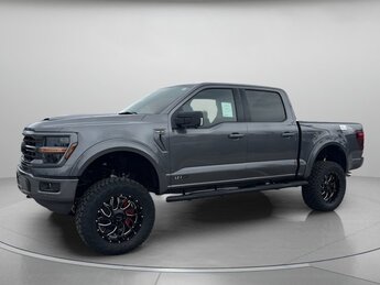 2025 Carbonized Gray Metallic Ford F-150 XLT Regular Unleaded V8 5.0 L Engine 4X4 Automatic 4 Door