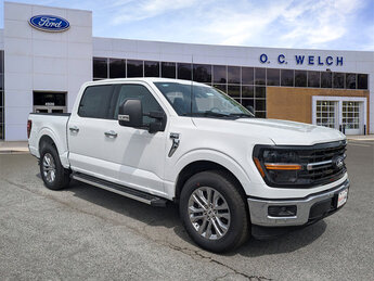 2025 Ford F-150 XLT 4 Door Regular Unleaded V6 3.5 L EcoBoost Engine Automatic RWD