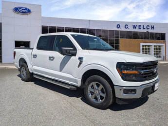 2024 Ford F-150 XLT RWD 4 Door Regular Unleaded V6 3.5 L EcoBoost Engine