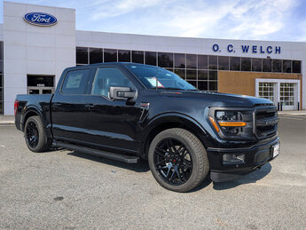 2025 Agate Black Metallic Ford F-150 XLT Automatic 4X4 4 Door Truck Regular Unleaded V8 5.0 L Engine