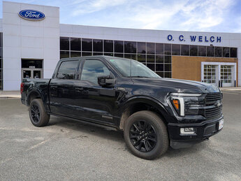 2025 Ford F-150 Platinum 4 Door 4X4 Automatic Truck