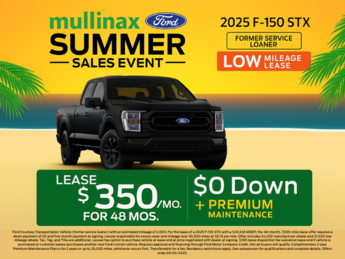 2025 Carbonized Gray Metallic Ford F-150 STX Automatic 4 Door Truck