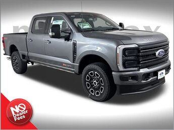 2025 Gray Metallic Ford Super Duty F-250 SRW Platinum Automatic 4 Door 4X4