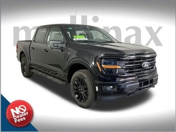 2025 Agate Black Metallic Ford F-150 XLT Truck 4 Door 4X4 Automatic