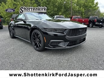 2025 Shadow Black Ford Mustang EcoBoost EcoBoost 2.3L I4 GTDi DOHC Turbocharged VCT Engine Car RWD 2 Door Automatic