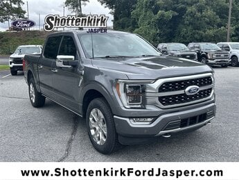 2022 Ford F-150 Platinum 4 Door 3.5L V6 EcoBoost Engine Truck