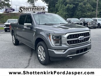 2022 Ford F-150 Platinum 4 Door 3.5L V6 EcoBoost Engine Truck