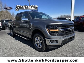 2025 Carbonized Gray Metallic Ford F-150 XLT Truck 3.5L V6 EcoBoost Engine 4 Door