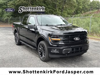 2024 Agate Black Metallic Ford F-150 XLT 4 Door Truck Automatic