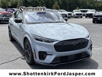 2025 Ford Mustang Mach-E GT Electric Motor Engine Automatic 4 Door