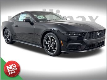 2025 Shadow Black Ford Mustang EcoBoost EcoBoost 2.3L I4 GTDi DOHC Turbocharged VCT Engine 2 Door Automatic RWD Car