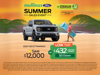 2025 Ford F-150 XLT 4X4 4 Door Automatic Truck
