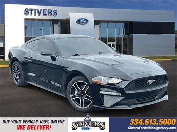 2023 Ford Mustang EcoBoost 2 Door RWD Automatic EcoBoost 2.3L I4 GTDi DOHC Turbocharged VCT Engine